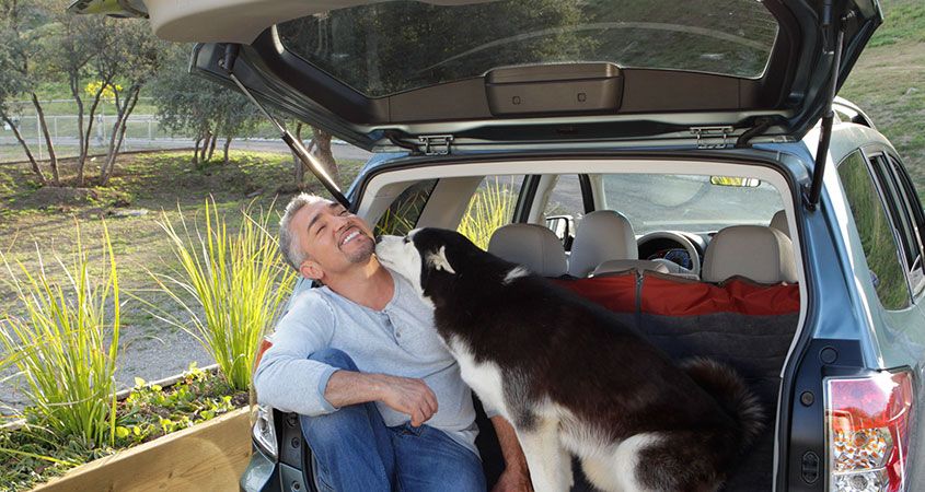 Vacation destination to move with pets