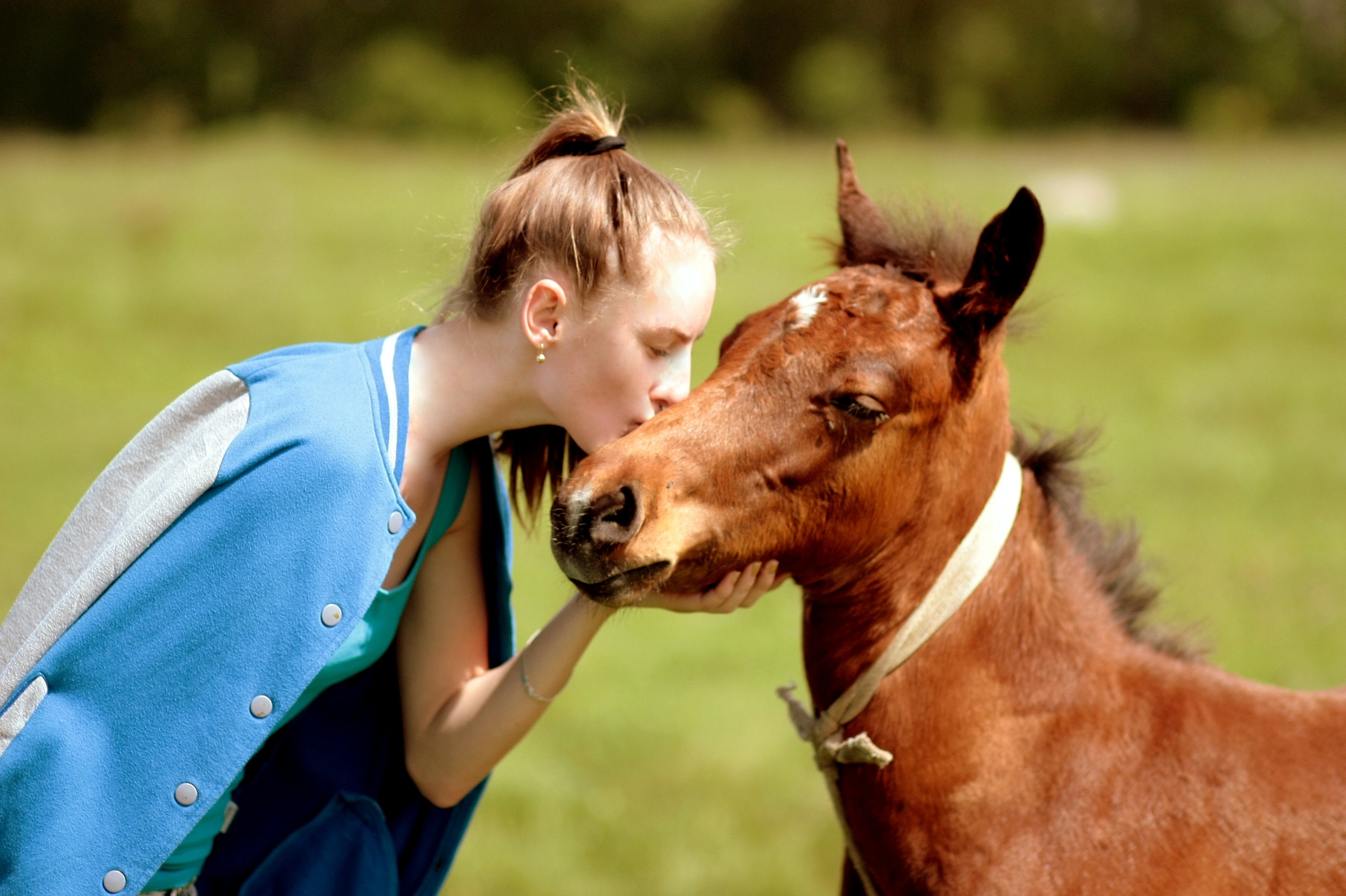 Have you imagined about checking in a hotel with your pet horse? here is the amazing story