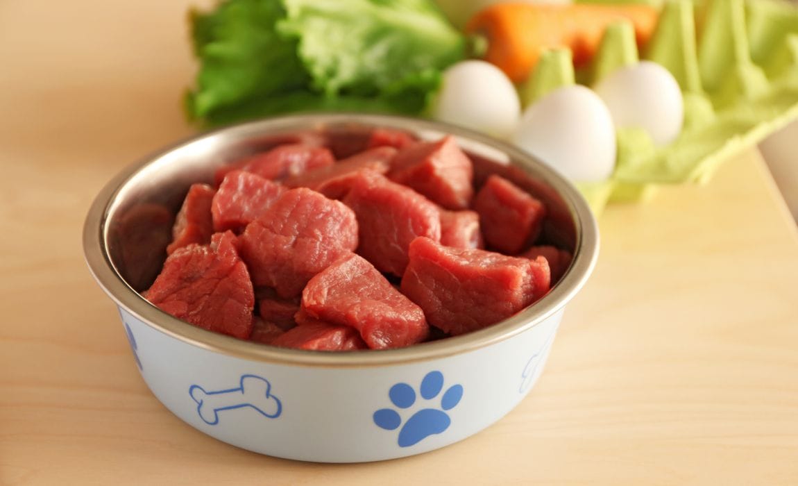 Raw Food – Is It A Good Choice For Your Dog?